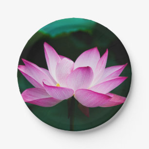 Rosa Lotus-Blume Pappteller