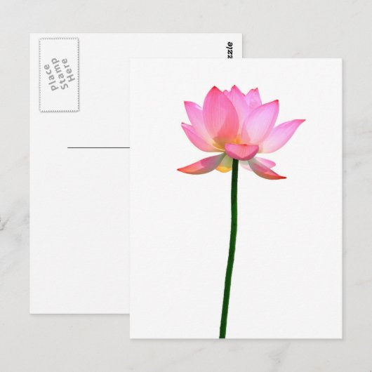 Rosa Lotus-Blume Postkarte (Vorne/Hinten)