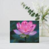 Rosa Lotus-Blume Postkarte (Stehend Vorderseite)