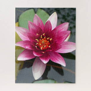 Rosa Lotus-Blume Puzzle