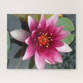 Rosa Lotus-Blume Puzzle (Horizontal)