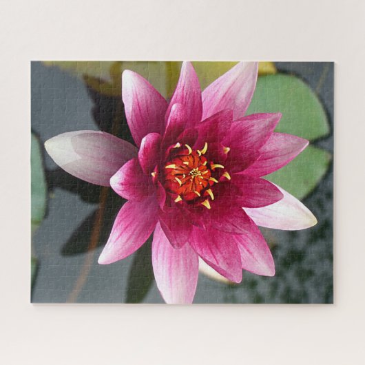 Rosa Lotus-Blume Puzzle (Horizontal)