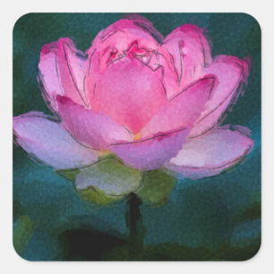 Rosa Lotus-Blume Quadratischer Aufkleber