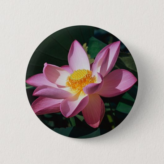 Rosa Lotus Button (Vorderseite)