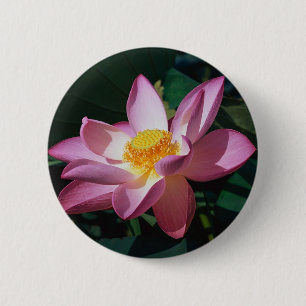Rosa Lotus Button