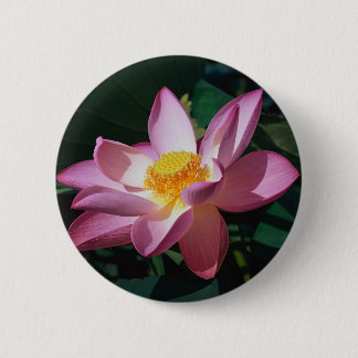 Rosa Lotus Button