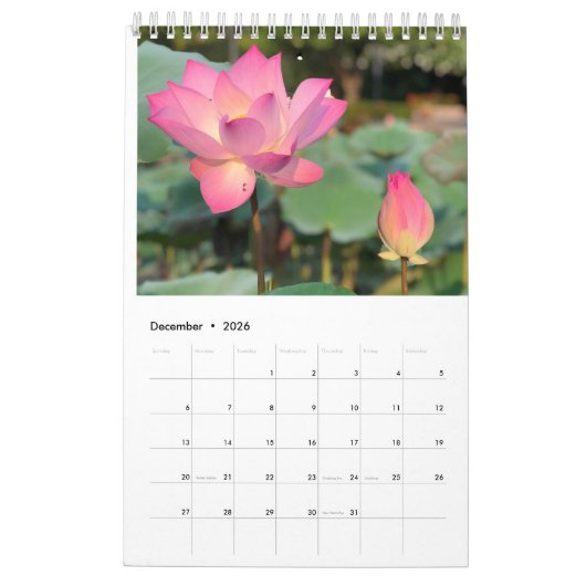 Rosa Lotus Calendar Kalender (Dez 2026)