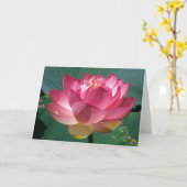 Rosa Lotus - Grußkarte Karte (Gelbe Blume)