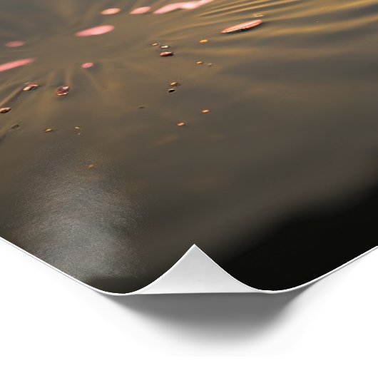 Rosa Lotus im Morgenlicht Glossy Poster (Ecke)