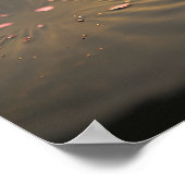 Rosa Lotus im Morgenlicht-Poster Poster (Ecke)