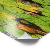 Rosa Lotus in Regen Fotodruck (Ecke)