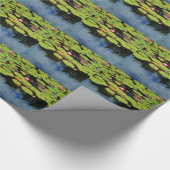 Rosa Lotus in Regen Geschenkpapier (Ecke)