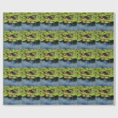 Rosa Lotus in Regen Geschenkpapier (Flach)