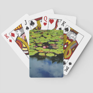 Rosa Lotus in Regen Spielkarten