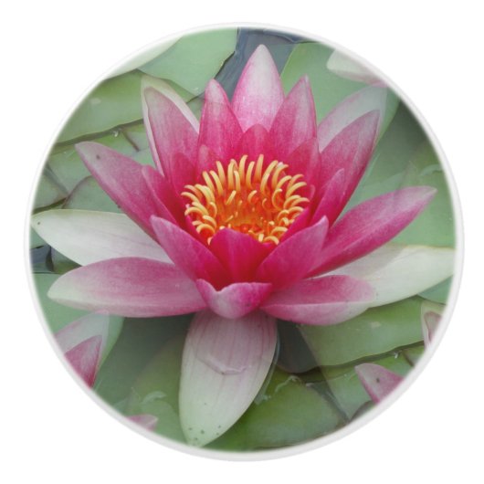 Rosa Lotus Keramikknauf (Vorderseite)