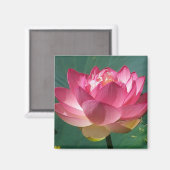 Rosa Lotus - Kühlschrank Magnet (Vorderseite/Rückseite)