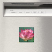 Rosa Lotus - Kühlschrank Magnet (In Situ (Geschirrspüler))