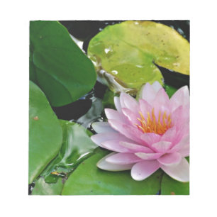 Rosa Lotus Notizblock