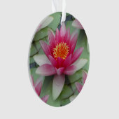 Rosa Lotus Ornament (Vorderseite)