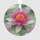Rosa Lotus Ornament (Rückseite)