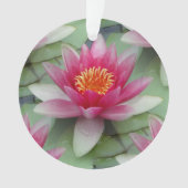 Rosa Lotus Ornament (Vorderseite)