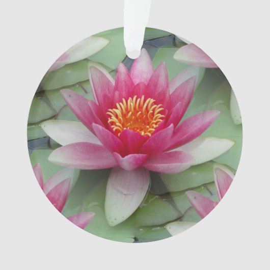 Rosa Lotus Ornament (Vorderseite)