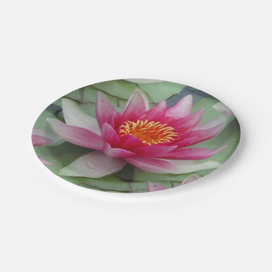 Rosa Lotus Pappteller (Schrägansicht)
