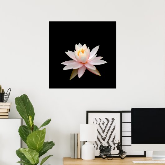 Rosa Lotus Poster (Heimbüro)