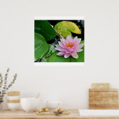 Rosa Lotus Poster (Küche)