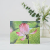 Rosa Lotus Postkarte (Stehend Vorderseite)