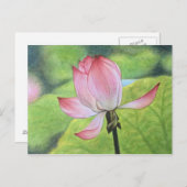 Rosa Lotus Postkarte (Vorne/Hinten)