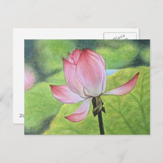 Rosa Lotus Postkarte (Vorne/Hinten)