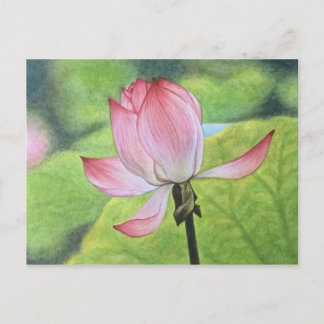 Rosa Lotus Postkarte