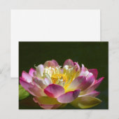 Rosa Lotus Postkarte (Vorne/Hinten)