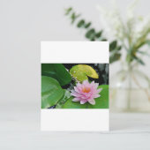 Rosa Lotus Postkarte (Stehend Vorderseite)