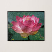 Rosa Lotus - Puzzle (Horizontal)