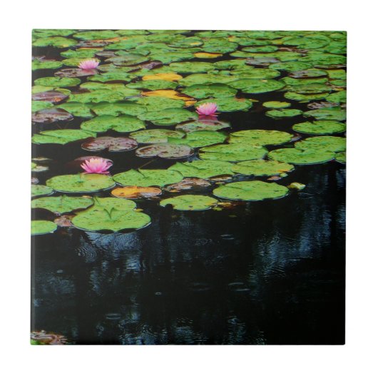 Rosa Lotus schwarz Fliese (Vorderseite)