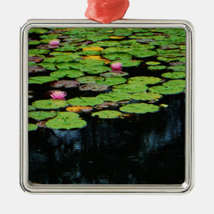 Rosa Lotus schwarz Ornament Aus Metall