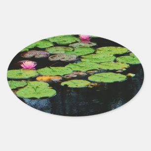 Rosa Lotus schwarz Ovaler Aufkleber