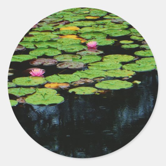 Rosa Lotus schwarz Runder Aufkleber (Vorderseite)