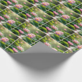 Rosa Lotus schwimmend in einem Teich Geschenkpapier (Ecke)