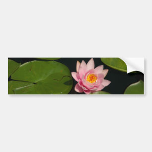 Rosa Lotus-Wasserlilie Autoaufkleber
