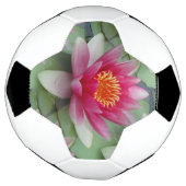 Rosa Lotus Wasserlilie Fußball (Gedreht)