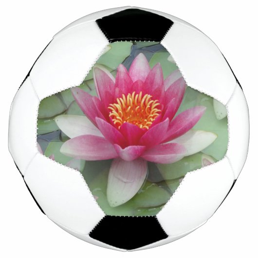 Rosa Lotus Wasserlilie Fußball (Vorderseite)