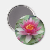 Rosa Lotus Wasserlilie Magnet (Vorderseite/Rückseite)