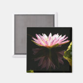 Rosa Lotus-Wasserlilie-Magnet Magnet (Vorderseite/Rückseite)