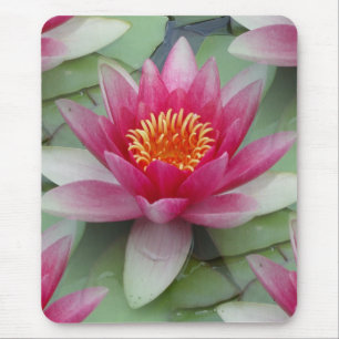 Rosa Lotus Wasserlilie Mousepad