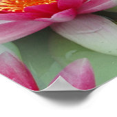 Rosa Lotus Wasserlilie Poster (Ecke)