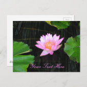 Rosa Lotus-Wasserlilie Postkarte (Vorne/Hinten)
