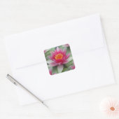 Rosa Lotus Wasserlilie Quadratischer Aufkleber (Umschlag)